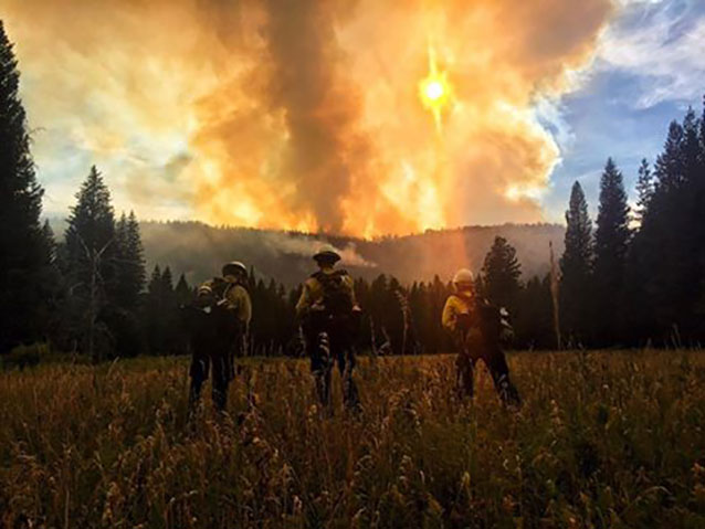 Three firefighters standing in a field, looking into the smoke and sun.
