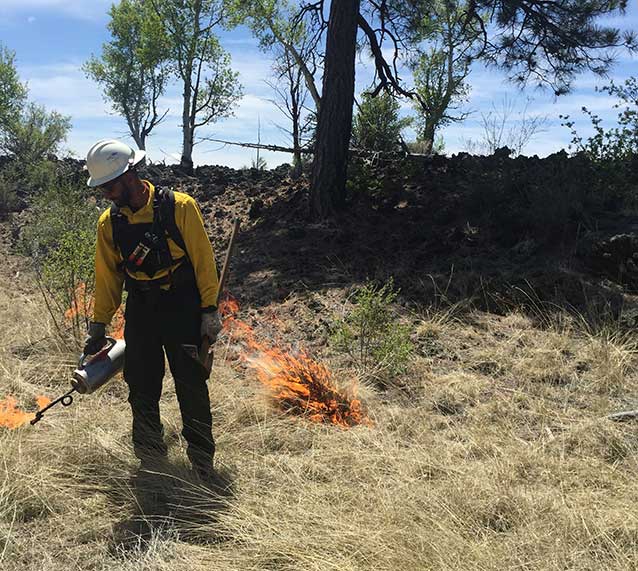 Firefighter ignites a prescribed burn with a driptorch.