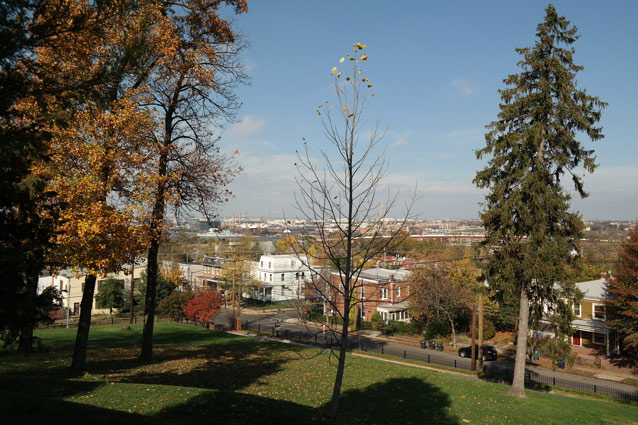 A view from a hilltop on a sunny day towards the city of Washington, D.C. (2015)