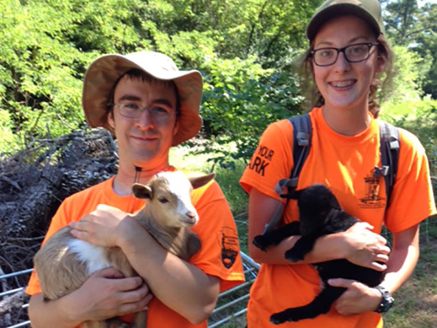 Interns holding baby goats