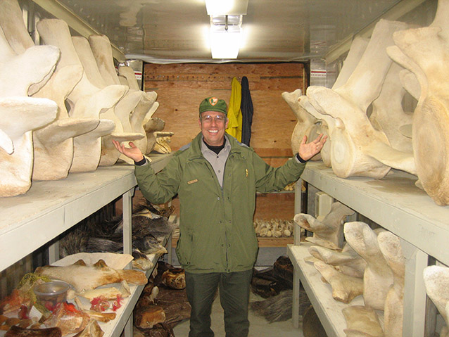 a ranger standing in a building filled with shelves of whalebone