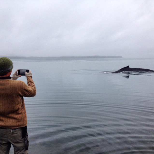 a person standing near the ocean taking a photo of a whale breaching