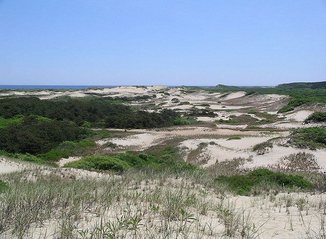 Coastal Dunes at Cape Cod National Seashore (Massachussets). NPSphoto