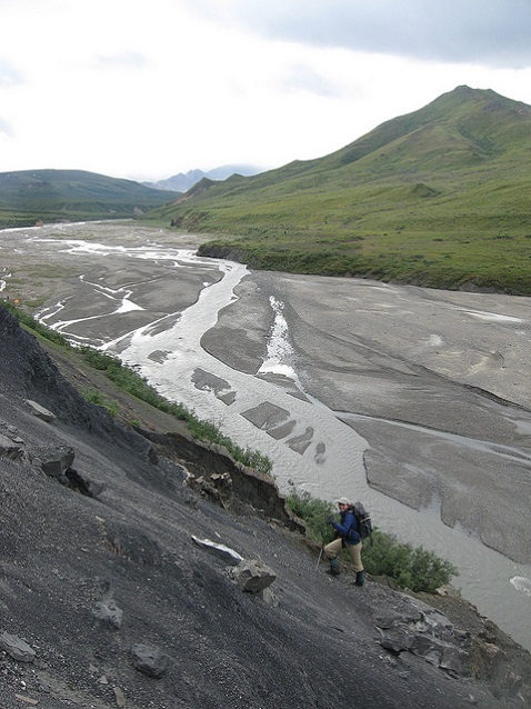 Braided river at Denali National Park (Alaksa)