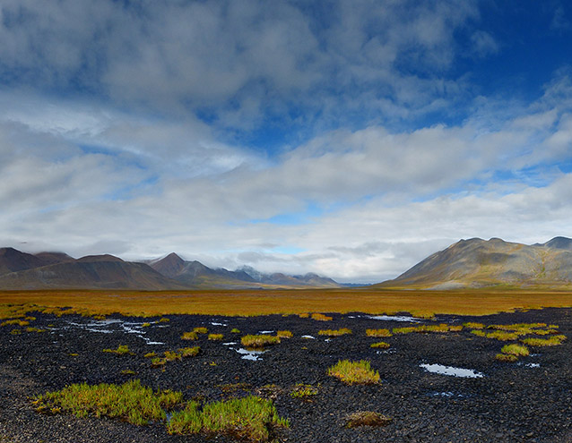 landscape of tundra and mountains
