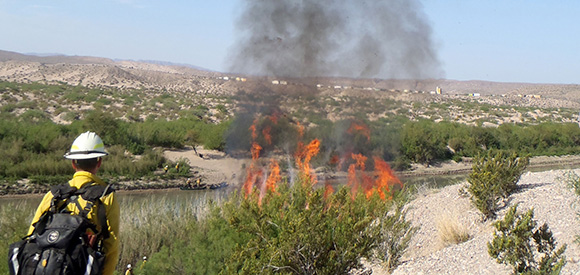 A firefighter stands near the bank of a river observing a fire.