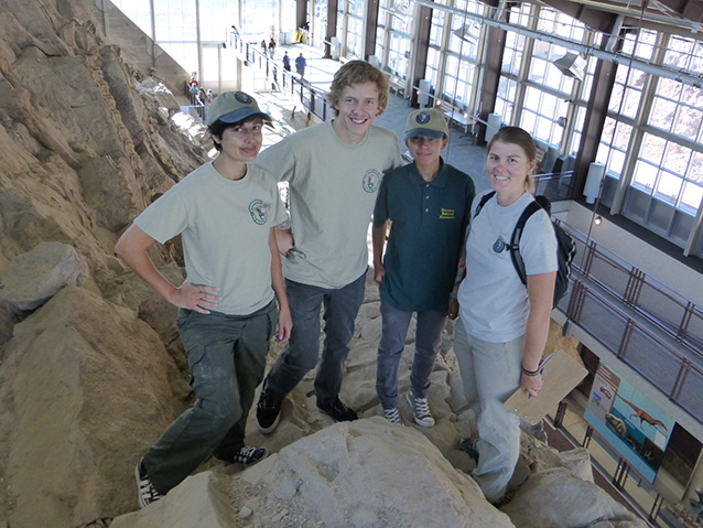 4 interns standing on large quarry wall in park visitor center