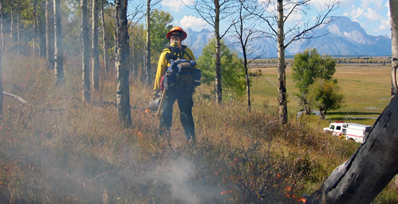 Firefighters monitor the prescribed fire as it burns