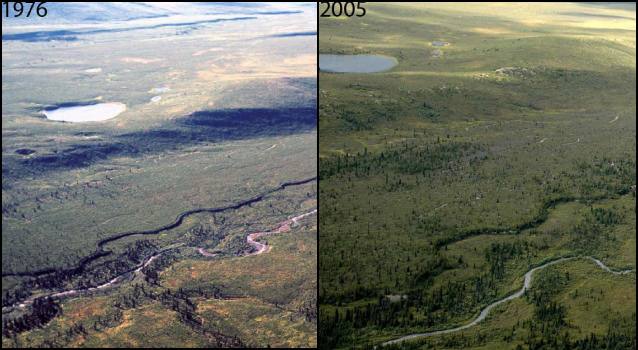 side by side pictures show that in 30 years trees began to invade around a river