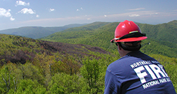 A man in a helmet looks out over a hilly landscape with a burned area in it.