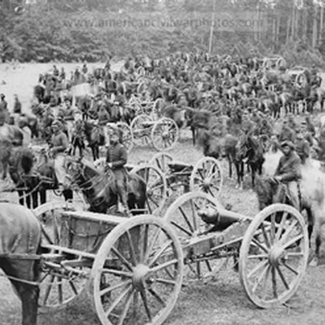 Photograph of horses and horses pulling carriages