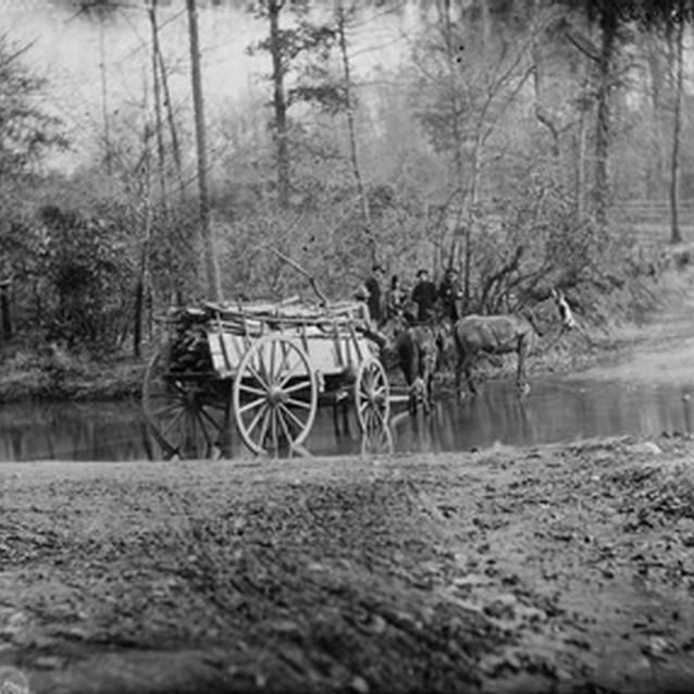 Photograph of mules pulling a cart through a brook