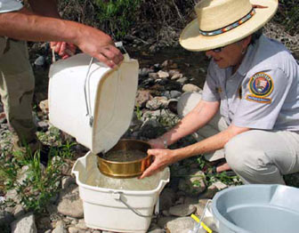 Aquatic macroinvertebrate sampling