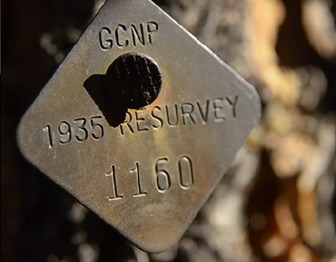A tag identifying a tree in Grand Canyon National Park