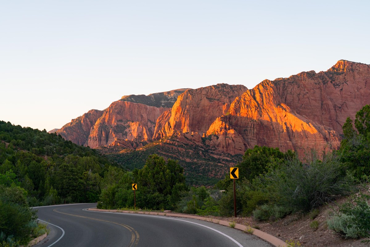 A winding road runs through a forest as distant red sandstone cliffs glow in the evening sun.