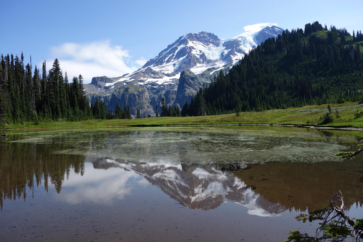 A glaciated mountain framed by forested hillsides reflects in a still mountain lake. 