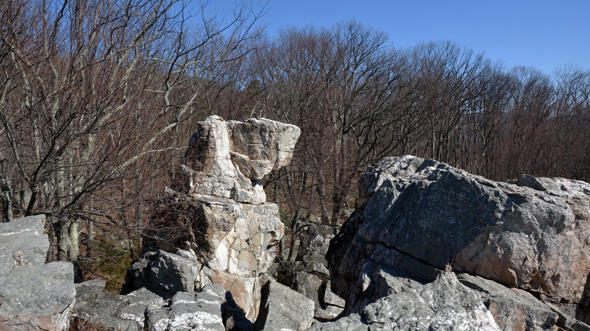 A large angular boulder that resembles the shape of a wolf.