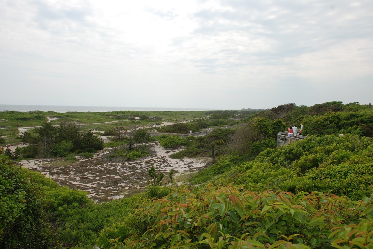 View of ocean and primary dune with boardwalk winding up to the Sunken Forest overlook.