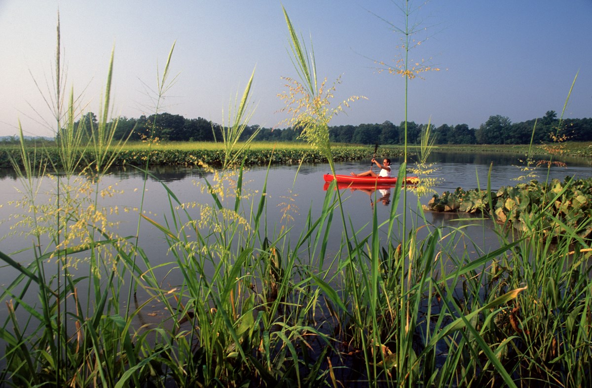 A lone kayaker explores the Patuxent River