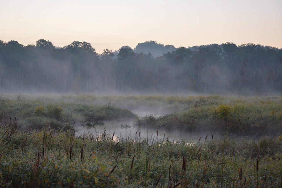 Photo of Accokeek Creek Site, as the fog rises in the early morning.