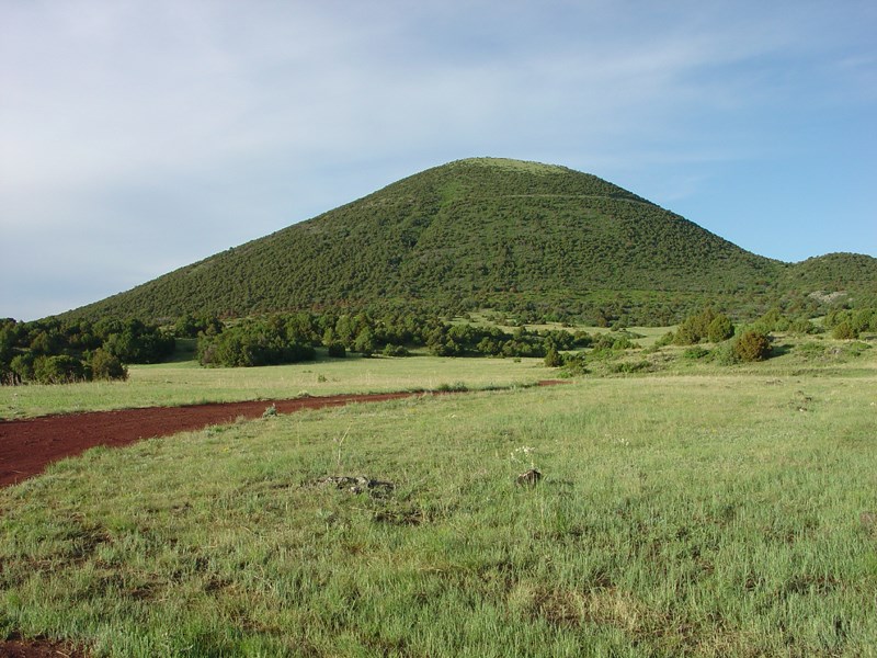 View of a cinder cone volcano covered with grasses, small trees, and other plants. 