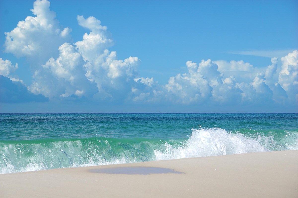 White sand and green water