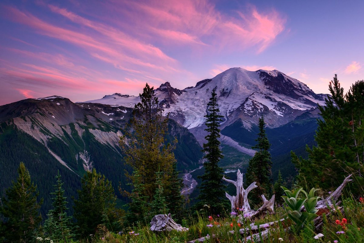 A purple and pink streaked sky over a mountain peak and forested valley. 