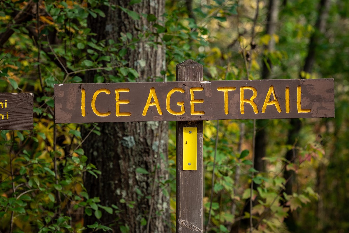Photograph of &ldquo;Ice Age Trail&rdquo; sign surrounded by a forest with autumn foliage.