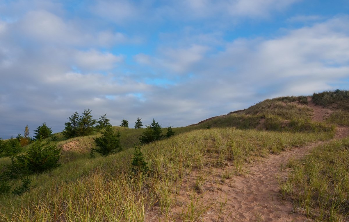 A trail leading up a sand dune covered in beach grass