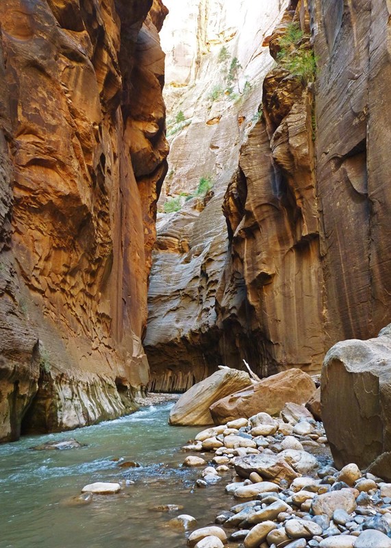 Tall, red, sandstone walls enclose a narrow river. 