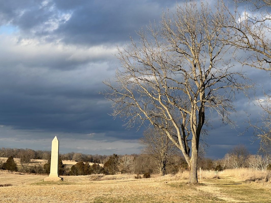 dark clouds with tree and obelisk monument 