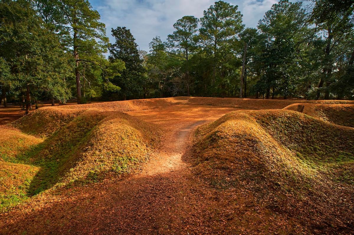 An earthworks covered in reddish-green grass about 4 feet high in a star pattern