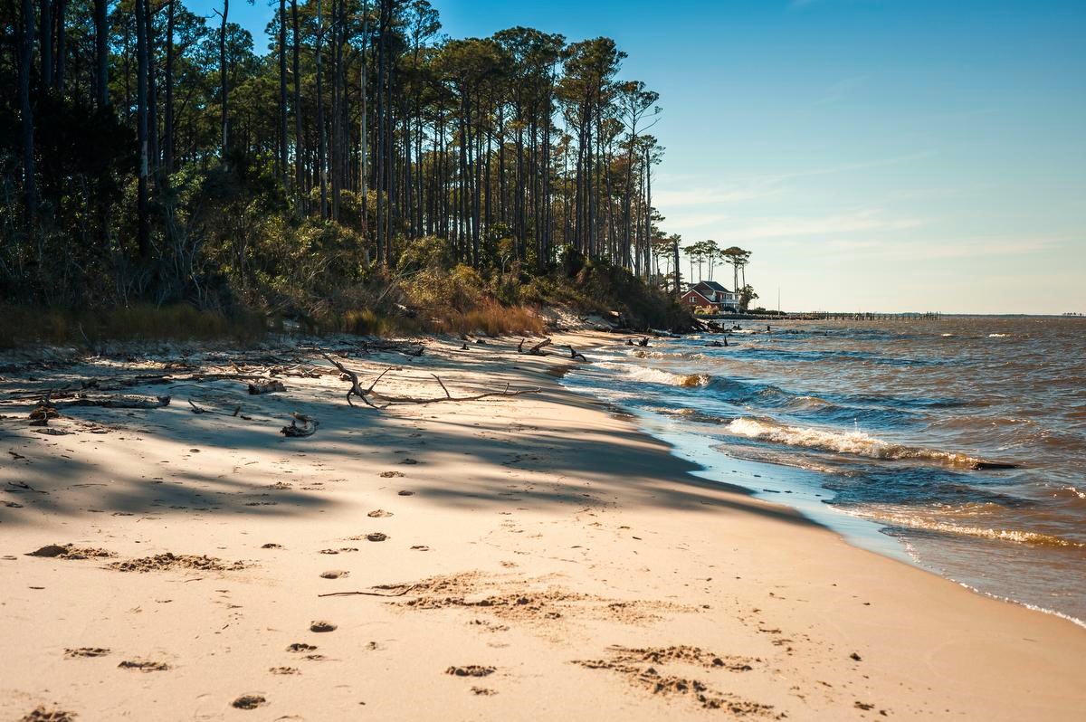 A stretch of sandy beach with trees near the shoreline and a building in the distance on the shore