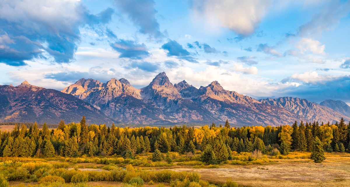 Granite mountains with a cloudy blue sky and green and yellow trees and plants in the foreground