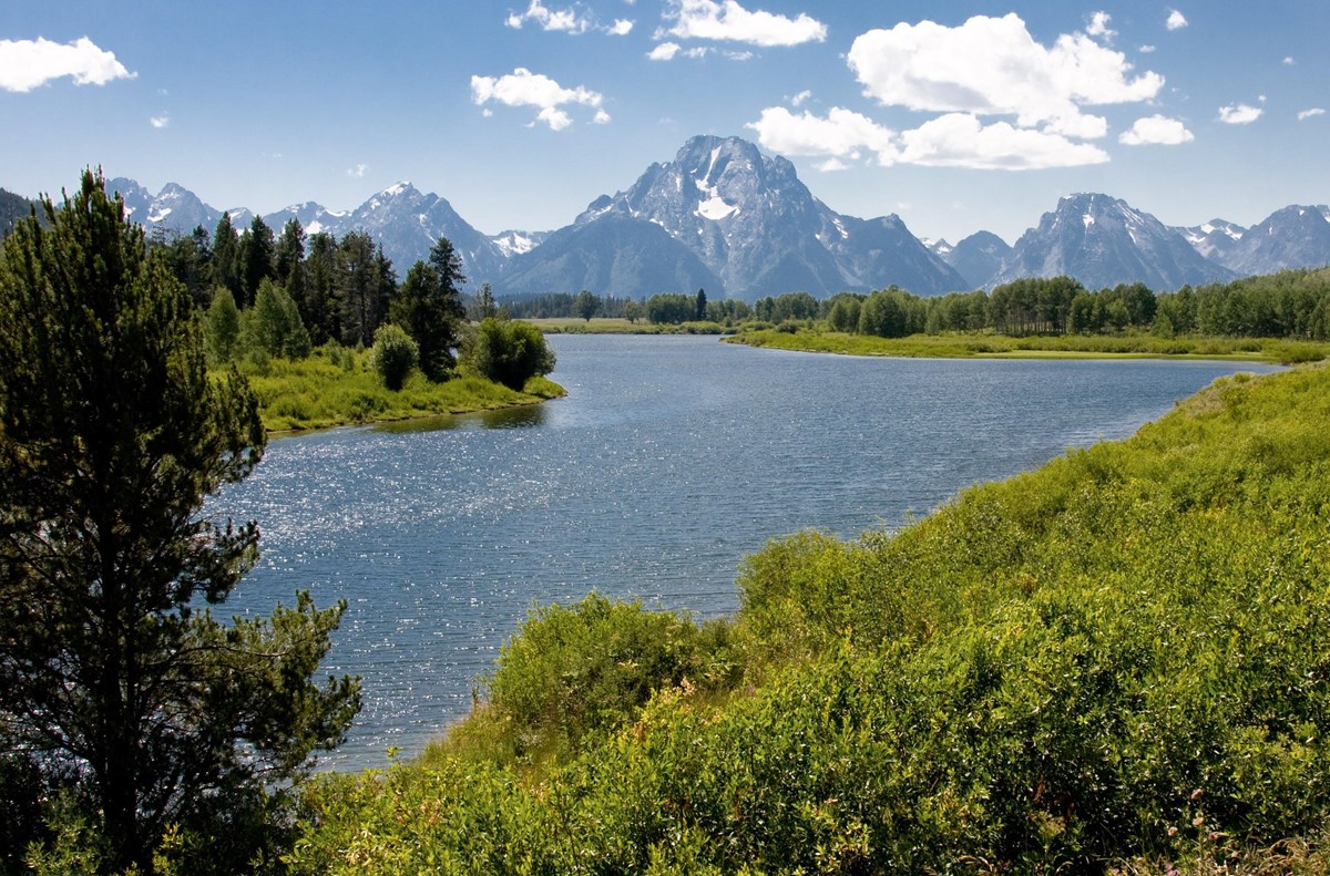 A shimmering body of water with green vegetation on the shores and mountains in the background.