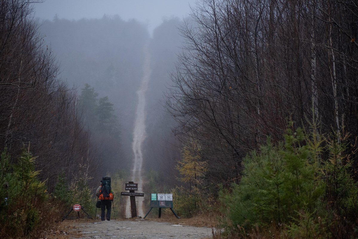 A hiker enters a long, foggy trail that fades into a hill in the background. The path is treelined.