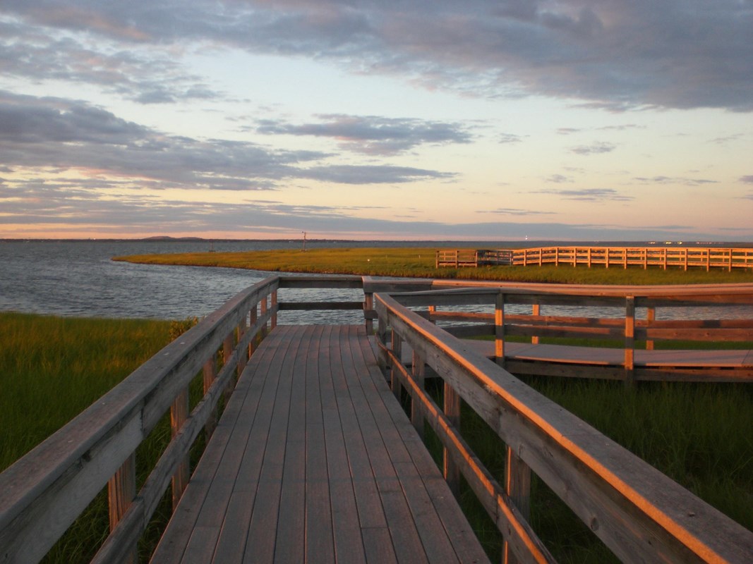 A boardwalk trail through lush green salt marsh glistens in sunset light. 