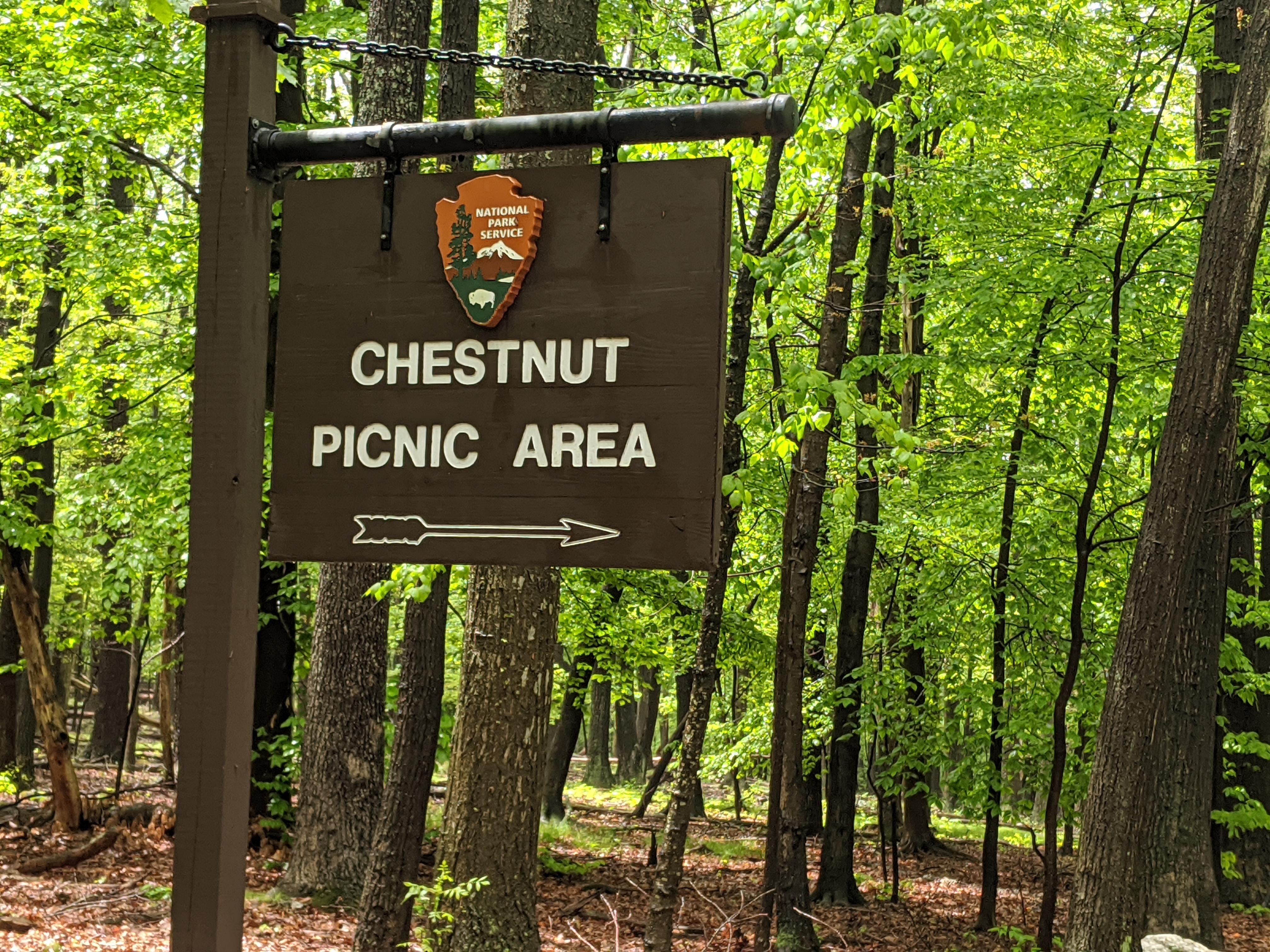 Wooden Sign fastened on a metal post with directional arrow and the words Chestnut Picnic Area. 
