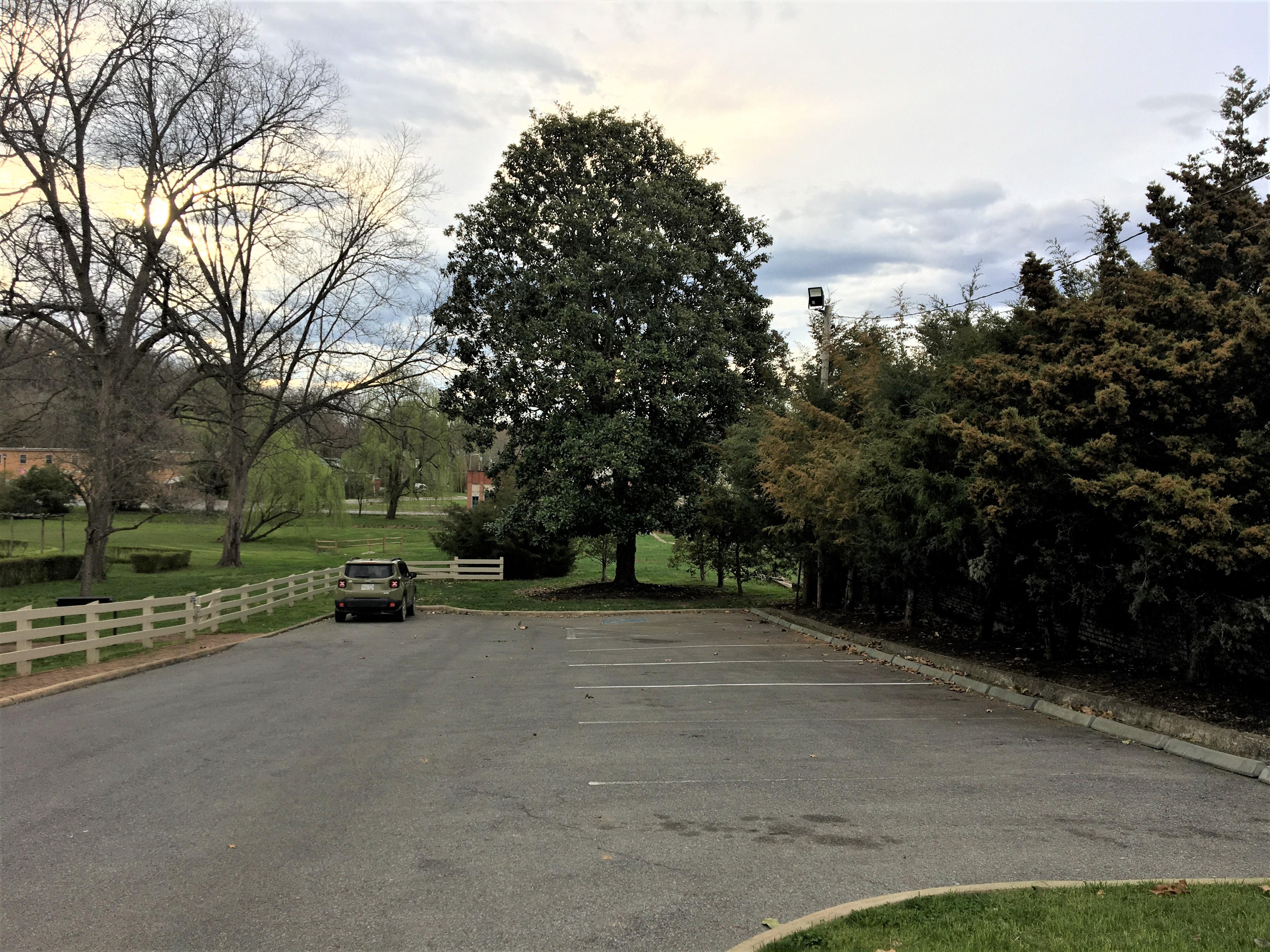 A wide image of the Homestead parking area