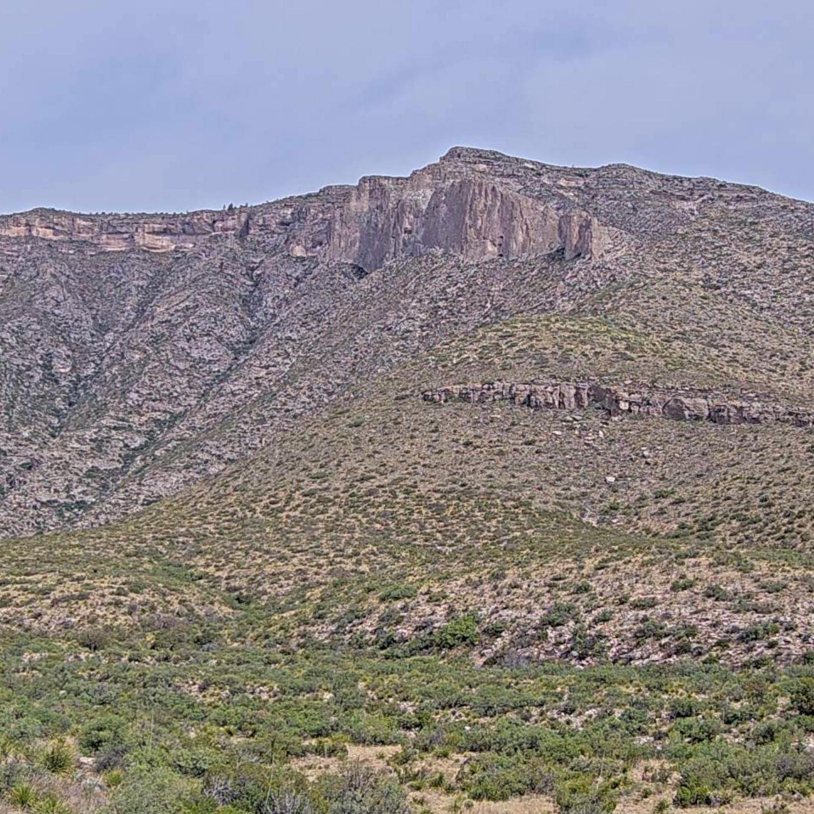 McKittrick Canyon View