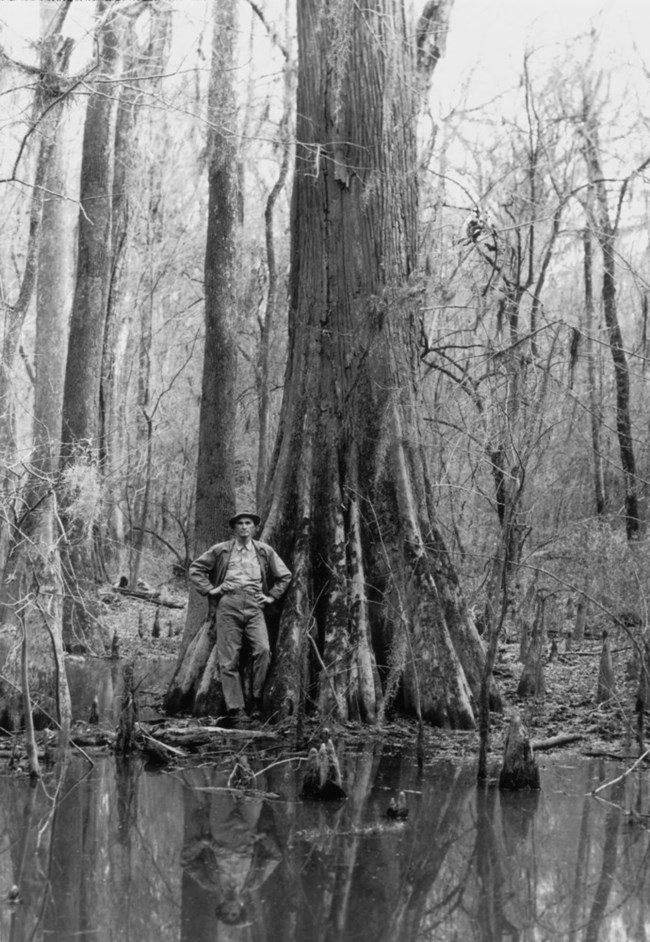 Black and white photo of a man leaning against a large tree