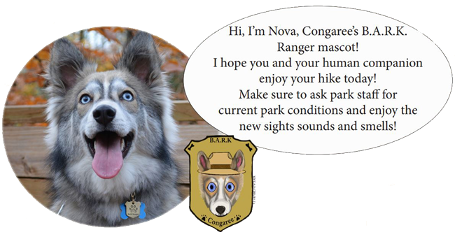 Photo and illustration of BARK Ranger Mascot, Nova