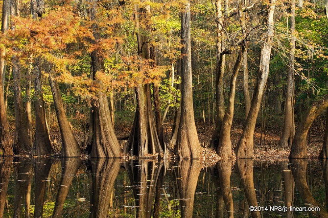 Autumn colors by the water