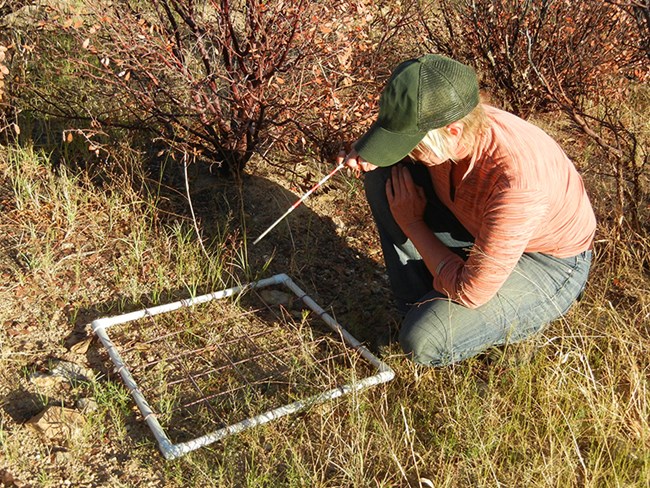 Woman sits on the ground in front of a framed grid, holding a striped pointer in her hand