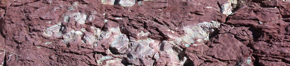 Purple rock with white quartz-like inlays