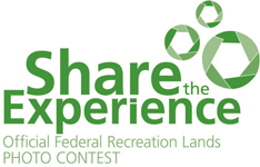 Share the Experience