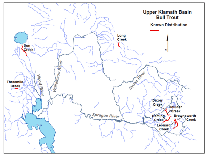 Maps of the distribution of Bull Trout.