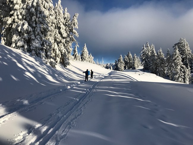 Two people snowshoeing in deep snow along road
