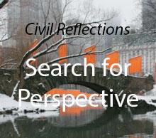 search for Perspective