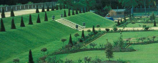 Topography + Vegetation Example